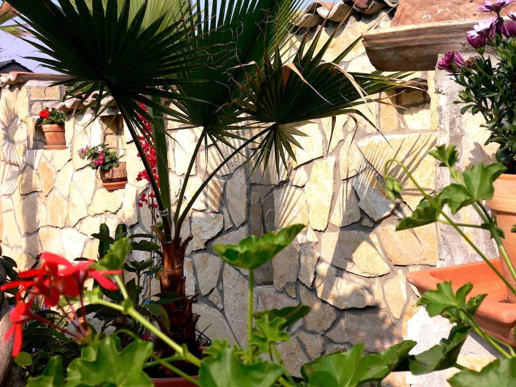 Apartmenthaus Casa Palma Buehl  Exterior photo
